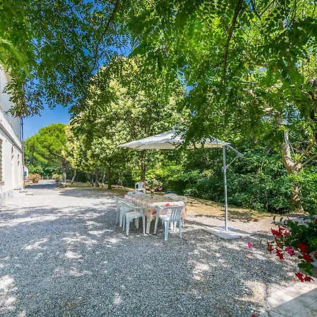 Apartment Podere La Madonnina-3 By Interhome Nibbiaia